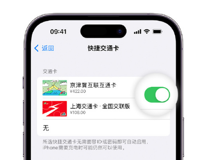 盖州apple维修点分享iPhone上更换Apple Pay快捷交通卡手绘卡面 