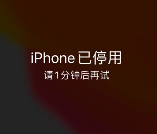 盖州苹果手机维修分享:iPhone 显示“不可用”或“已停用”怎么办？还能保留数据吗？ 