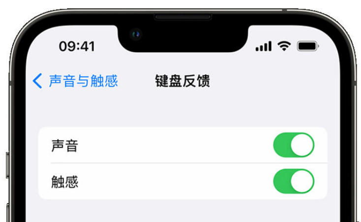 盖州苹果手机维修分享iPhone 14触感键盘使用方法 