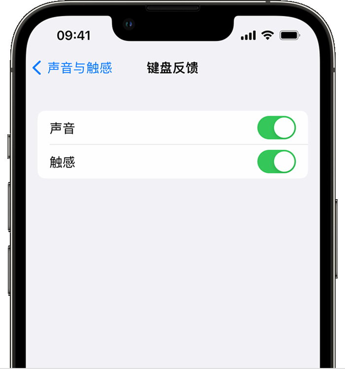 盖州苹果14维修店分享如何在 iPhone 14 机型中使用触感键盘 