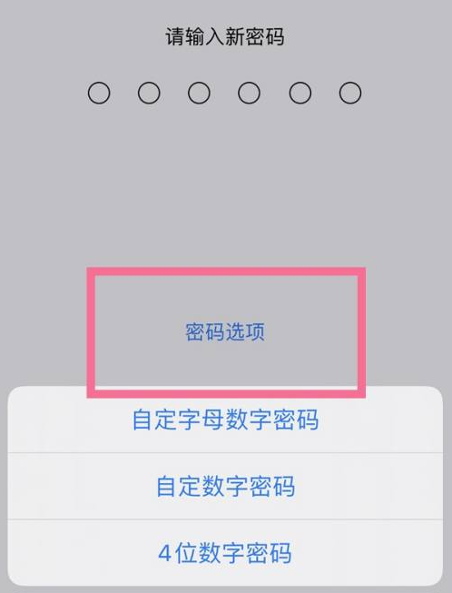 盖州苹果14维修分享iPhone 14plus设置密码的方法 