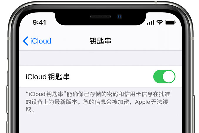 盖州苹果手机维修分享在 iPhone 上开启 iCloud 钥匙串之后会储存哪些信息 