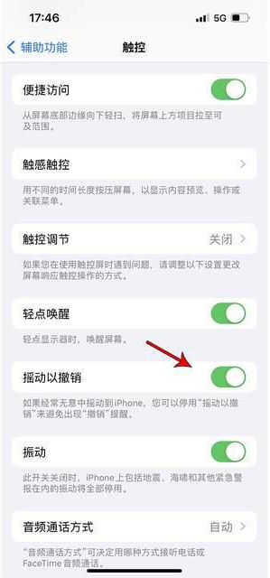 盖州苹果手机维修分享iPhone手机如何设置摇一摇删除文字 