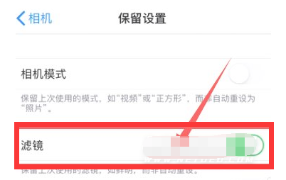 盖州苹果13维修分享iPhone13拍照有绿点是怎么回事 