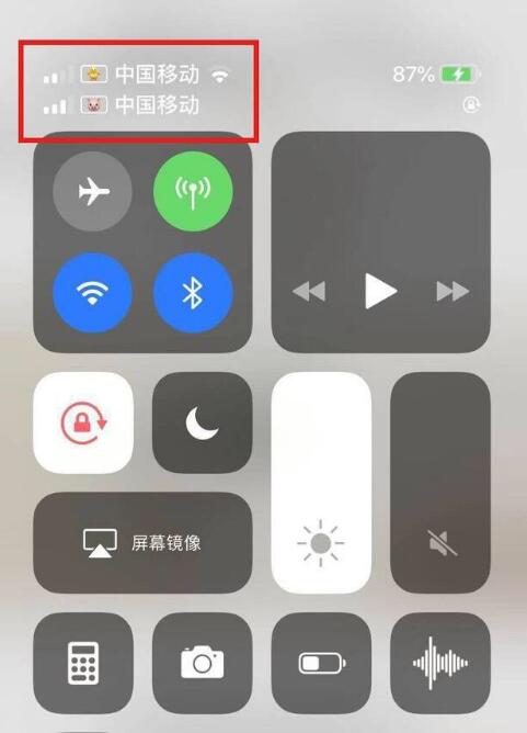 盖州苹果手机维修分享为 iPhone 12 双卡设置标签 